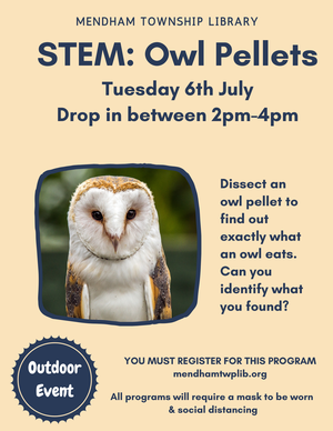 STEM: What do Owls E